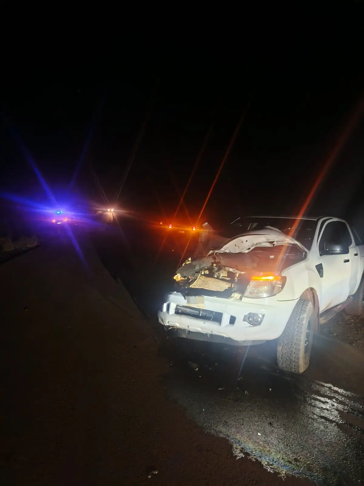 Caballos muertos y varios heridos en dos incidentes viales