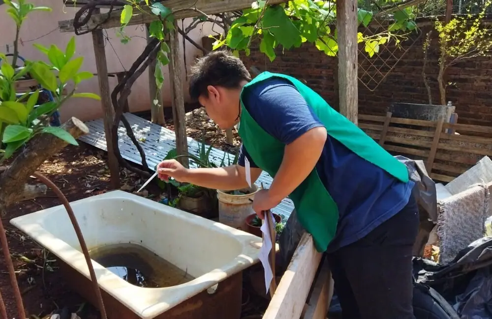 Dengue: El 12% de las viviendas de Posadas, tienen criaderos de mosquitos