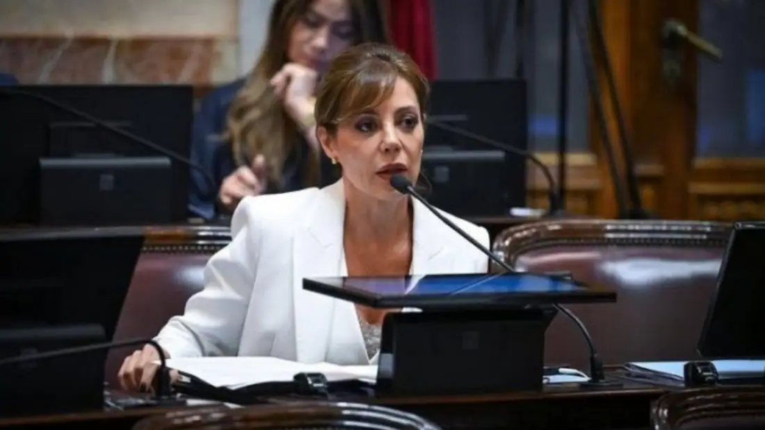 Ley de Glaciares: Denunciaron penalmente a la senadora Royón