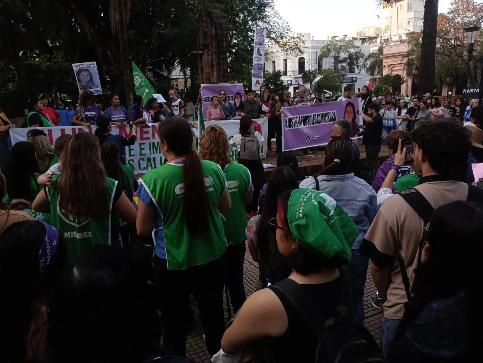 Ni Una Menos: 15 mil personas marcharon en Posadas