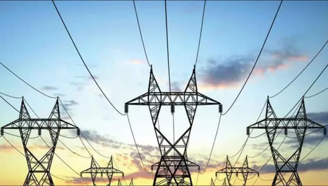 El Gobierno privatizó la mayor transportadora de energía eléctrica del país