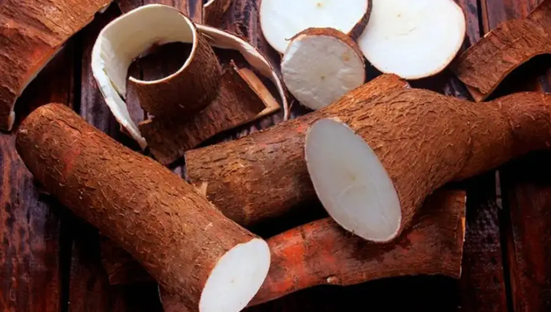 Misiones pidió equiparar la carga tributaria entre la harina de mandioca y la de trigo