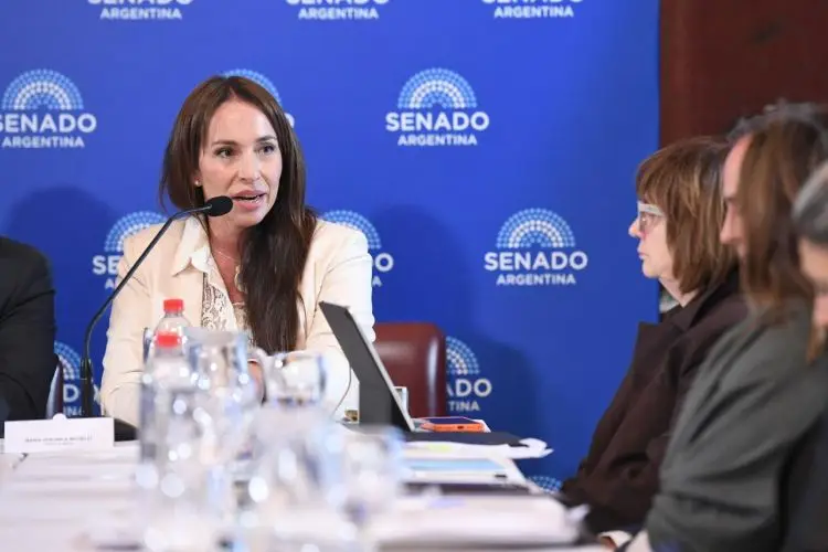 Bullrich logró que se vote el pliego de la cuñada de Alconada Mon