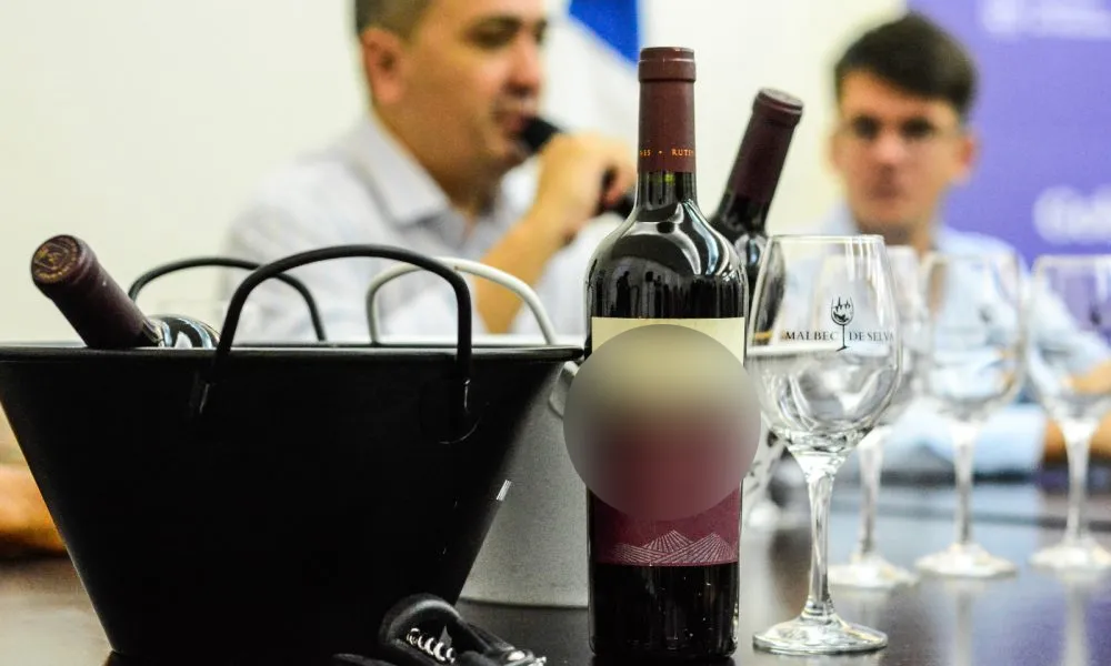 La provincia pagó $5 millones por biromes para el Malbec de Selva 2024
