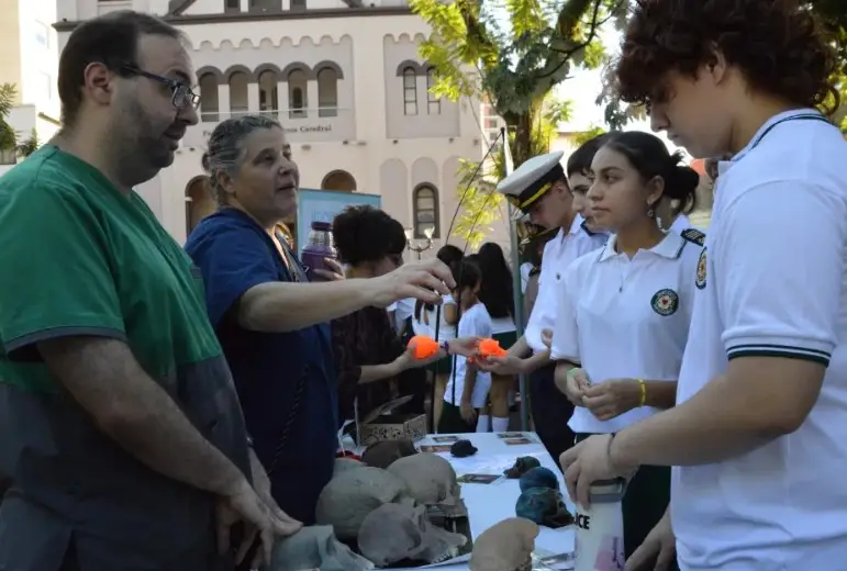 Advierten que el ajuste en el presupuesto universitario retrasa investigaciones