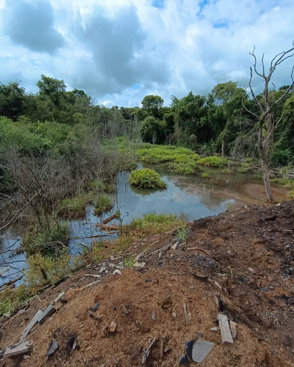 Investigan contaminación de un arroyo en Piñalito Sur