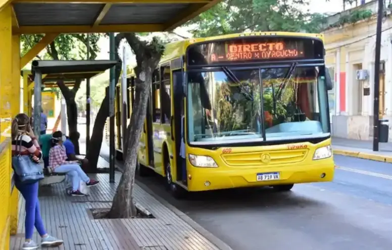 Crisis en el sistema de transporte urbano y suburbano del interior del país: Confirman paro para el lunes