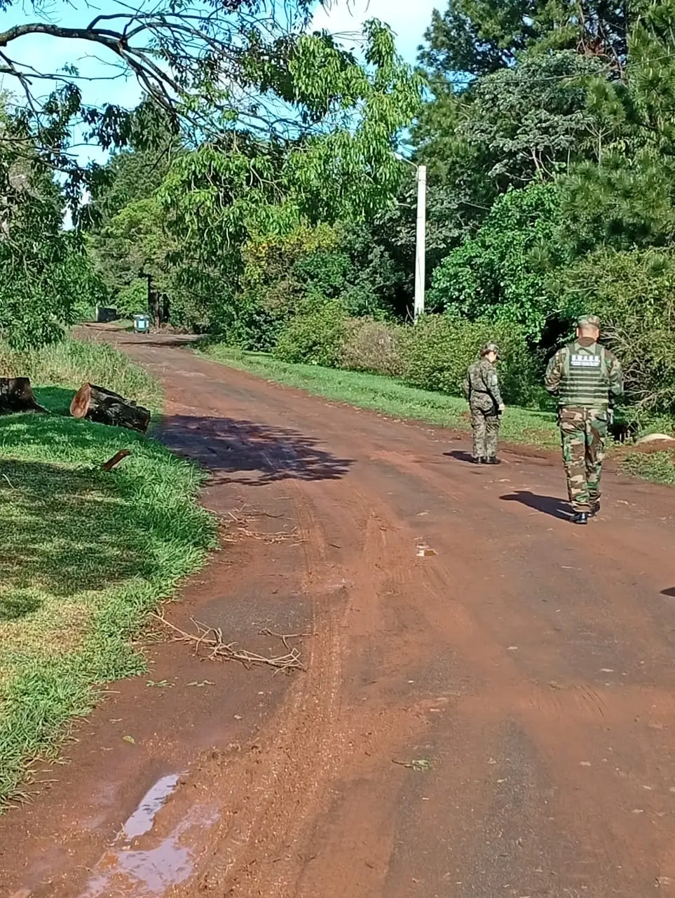 El puma detectado en B° Pellegrini, ya salió de la zona urbana