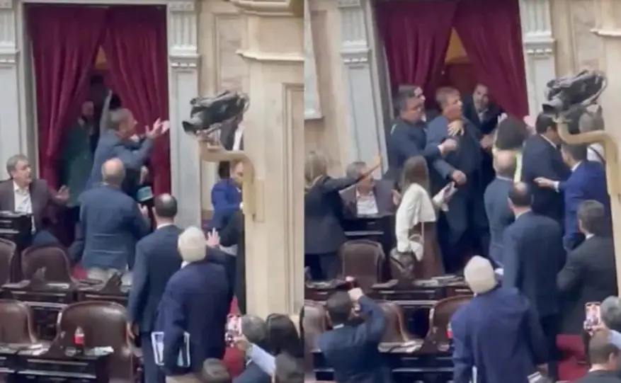 Escándalo: Diputados se agarraron a piñas en medio de la sesión