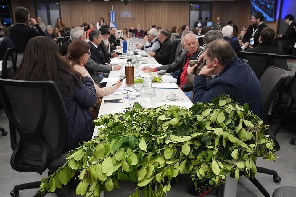 Yerba: “La desregulación generó un mercado más salvaje”