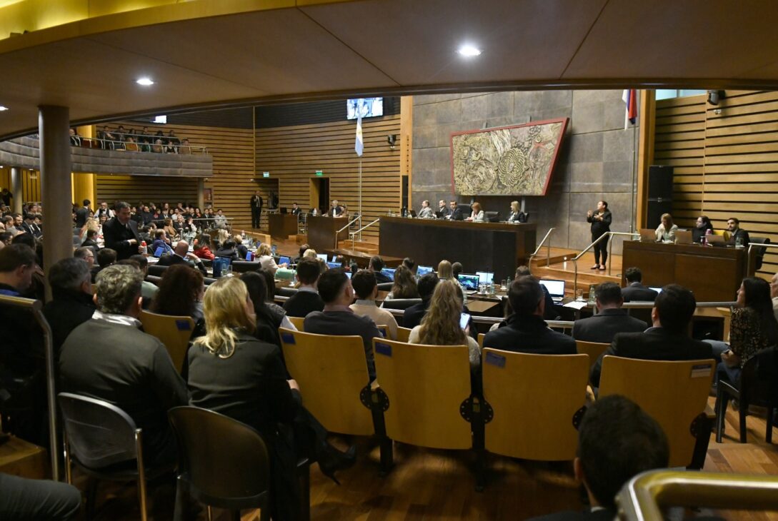 Por qué es inconstitucional el proyecto de la fiscalía de ciberdelitos