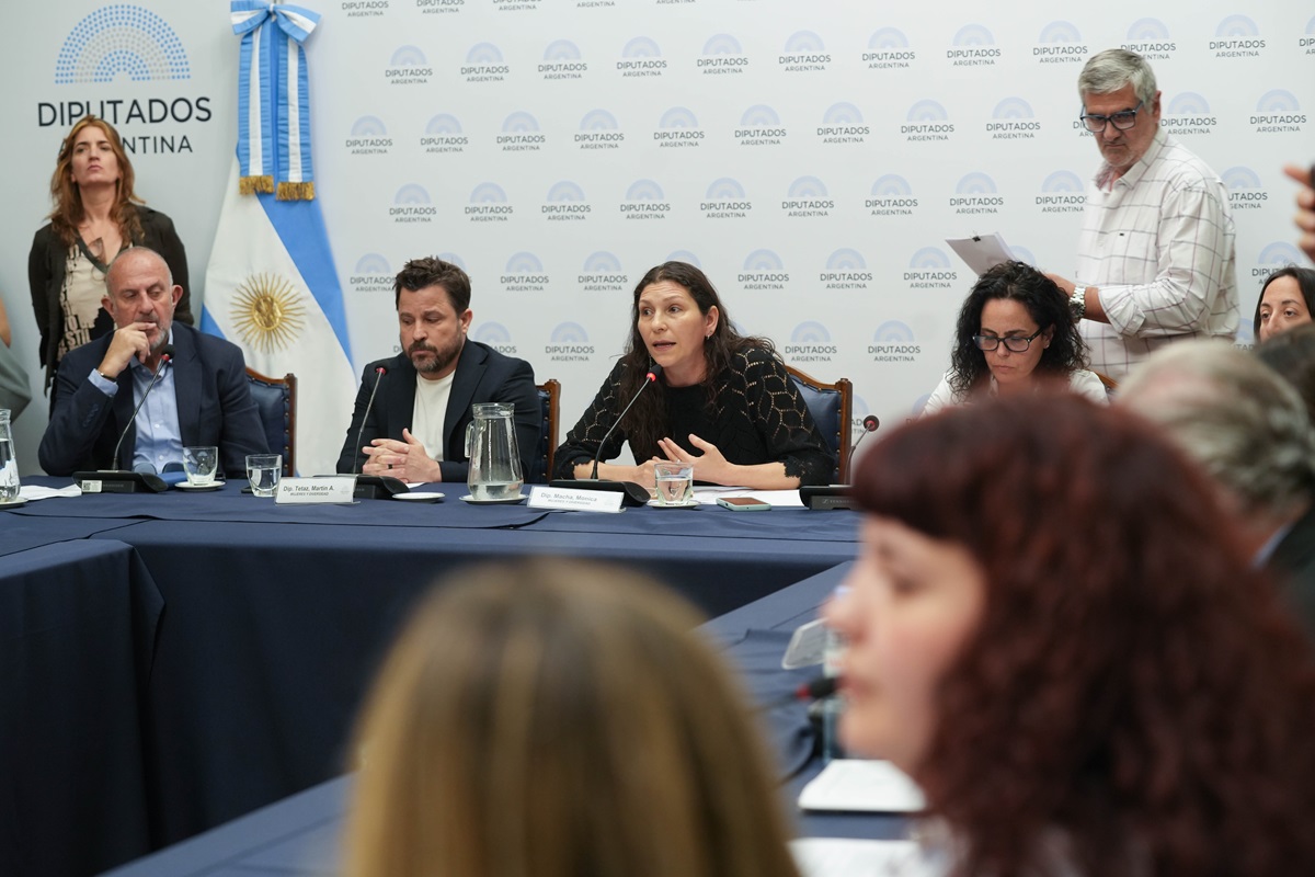 Sin la firma de Klipauka y LLA, avanza un proyecto contra la violencia hacia mujeres