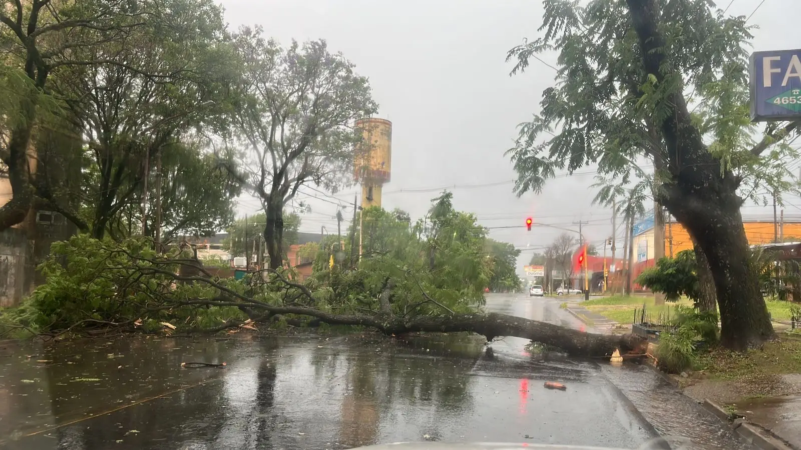 Posadas: temporal causó importantes destrozos
