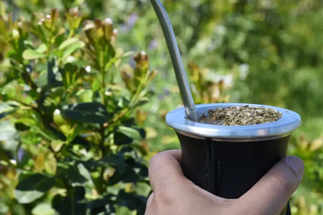Yerba Mate: el crecimiento interanual de las ventas fue del 16,02%