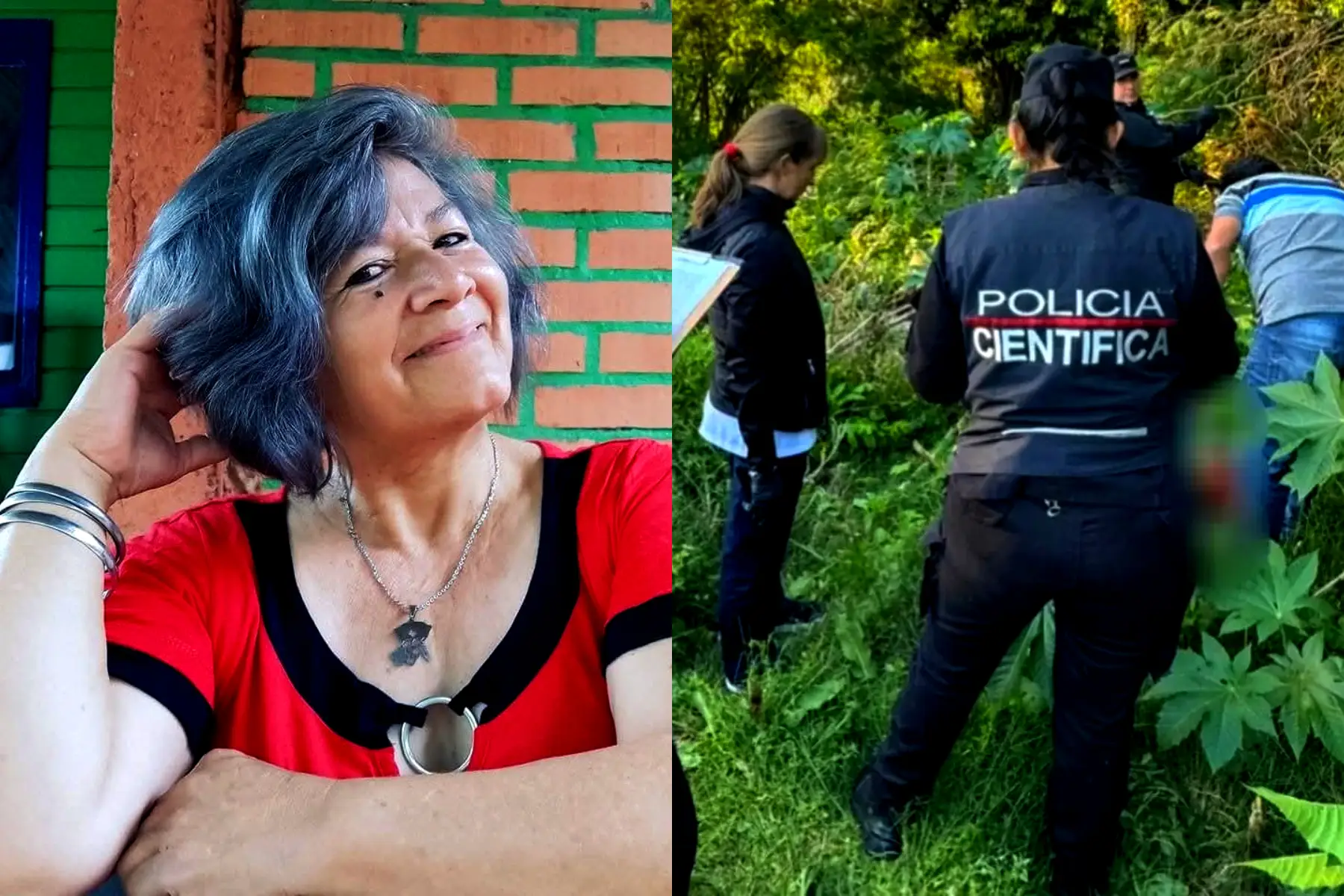 Se conocieron detalles del femicidio de Elvira Medina