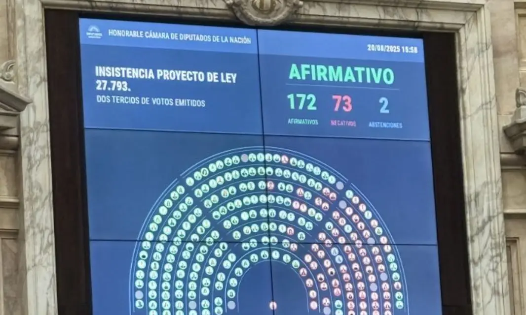 Diputados rechazó el veto de Milei a la Ley de Emergencia en Discapacidad