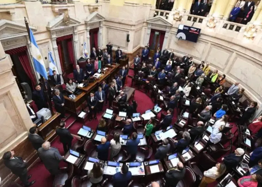 Tras el revés en el Senado, el oficialismo convoca a sesión especial por Ficha Limpia