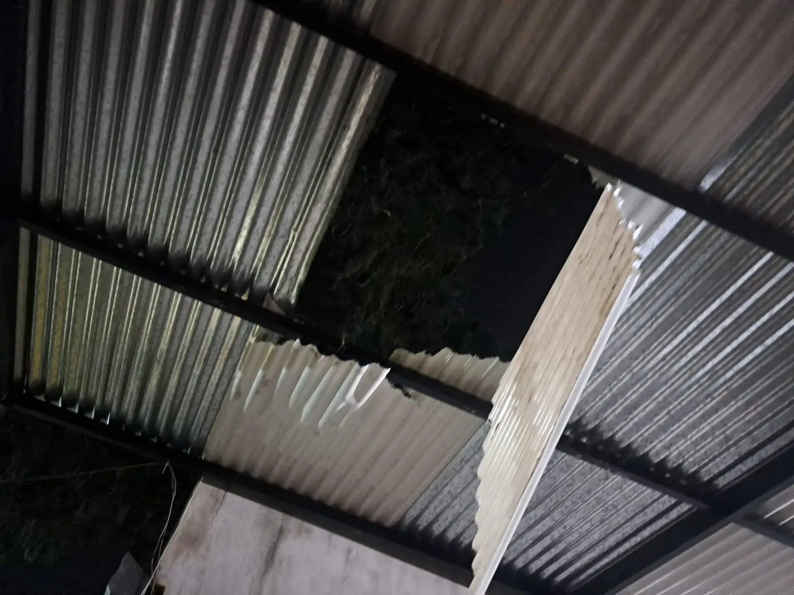 Posadas: Cayó del techo de su vivienda y murió