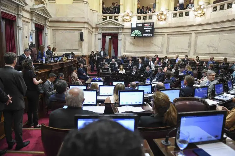 Rojas Decut entre los senadores que no emitieron palabras en 2024