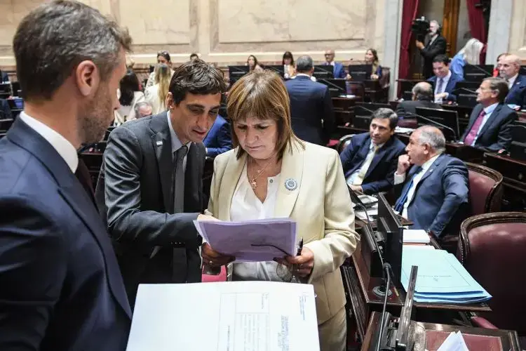 Tres senadores radicales votan en contra del Artículo 30