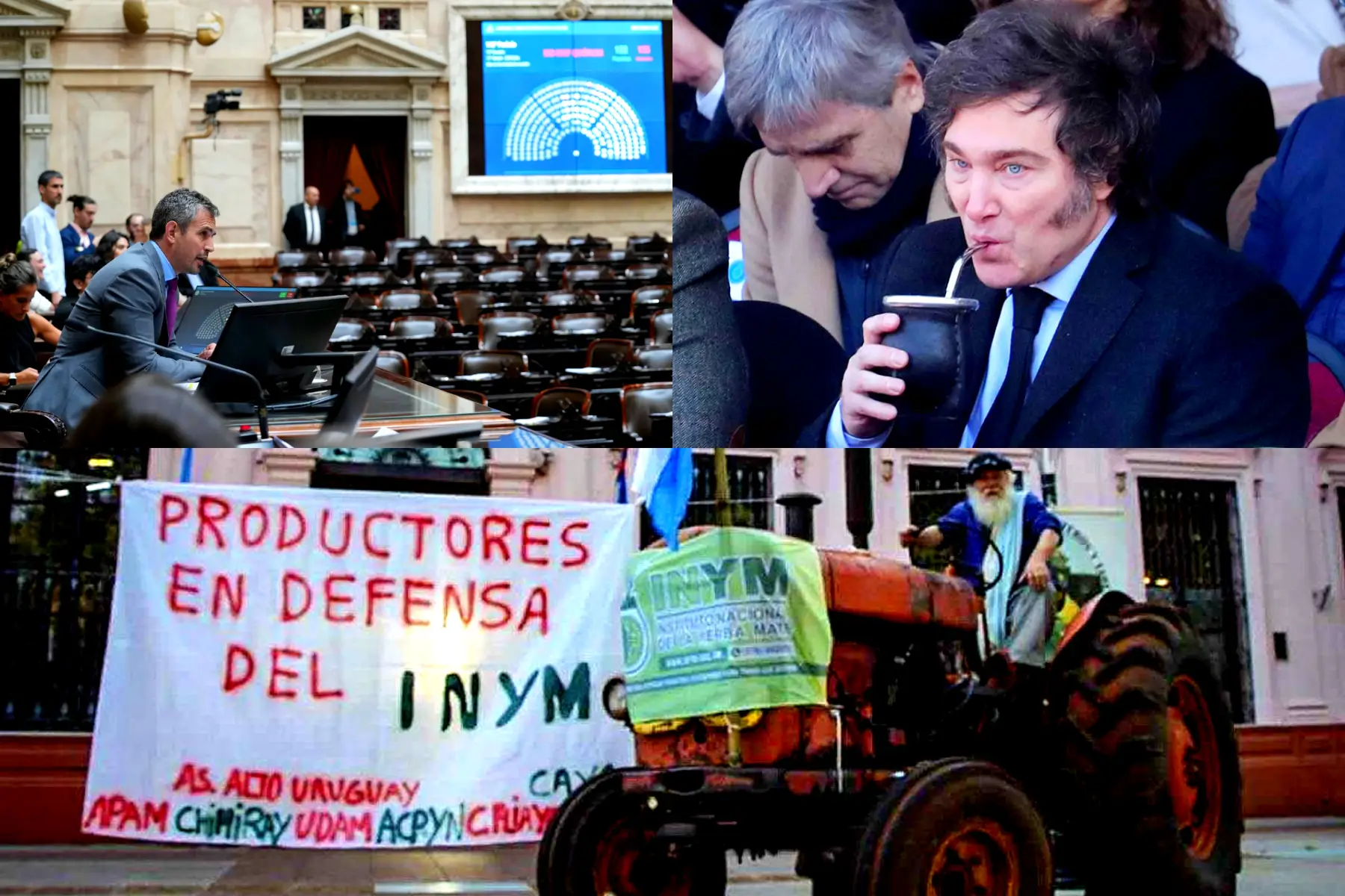 Por qué sigue vigente el DNU 70/23, que afecta al INYM