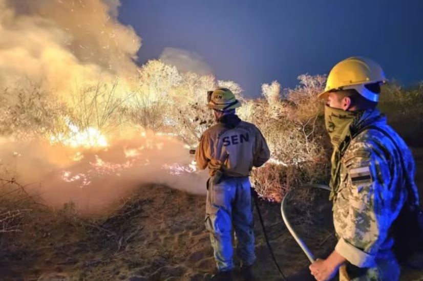Alerta epidemiológica en Paraguay ante el impacto de incendios forestales y riesgos a la salud