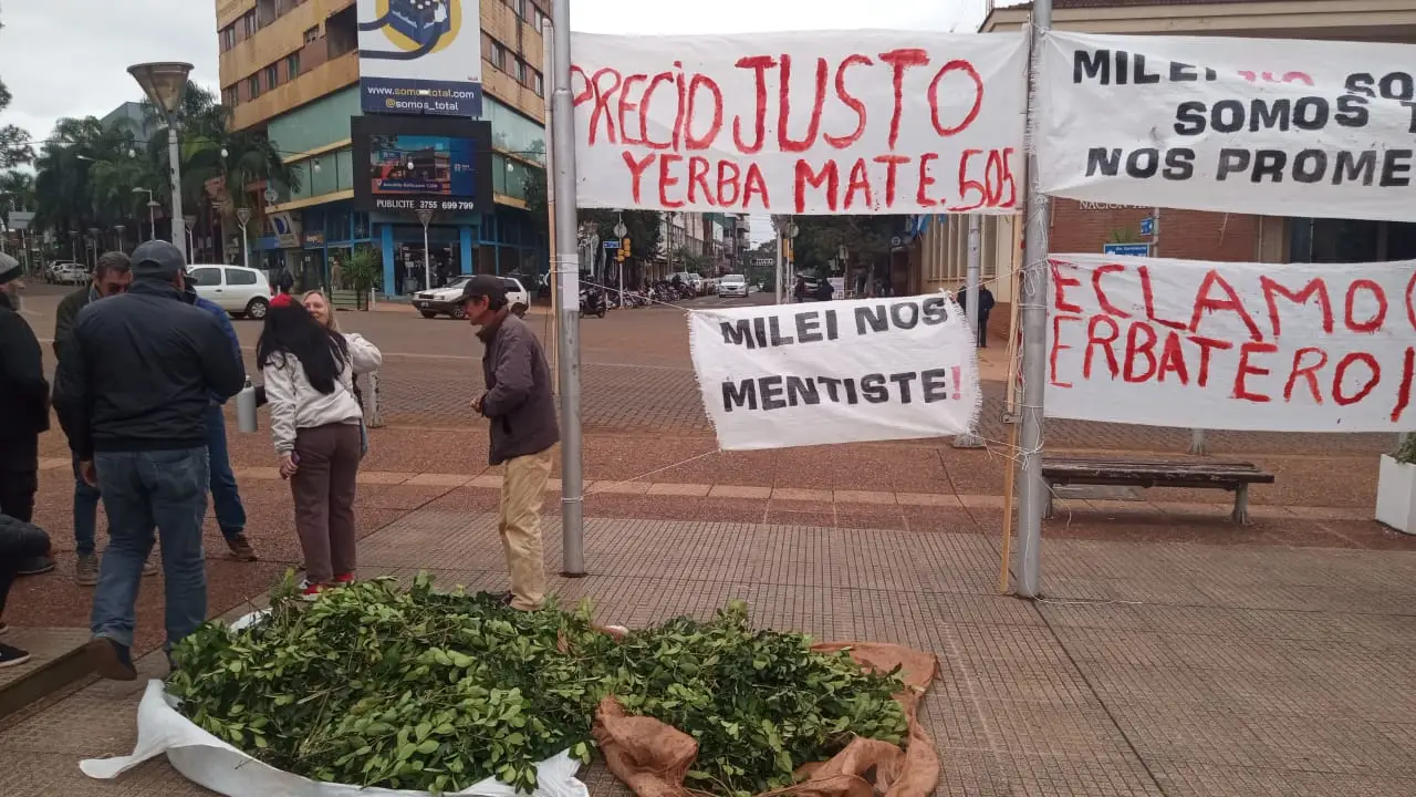 Yerbateros cruzaron a Cacace por celebrar la caída del precio productivo