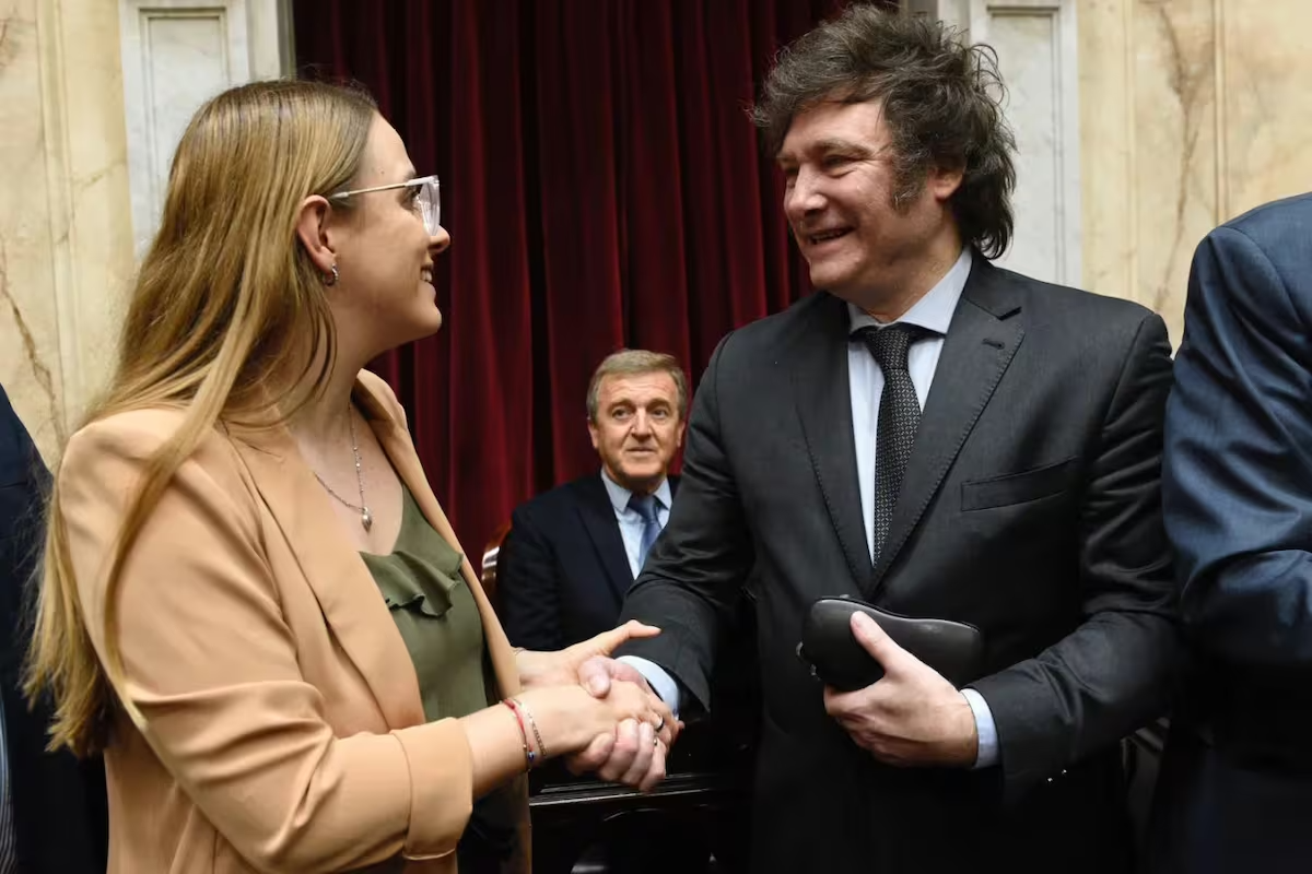 Entre los proyectos para modificar las PASO, hay dos de legisladores misioneros