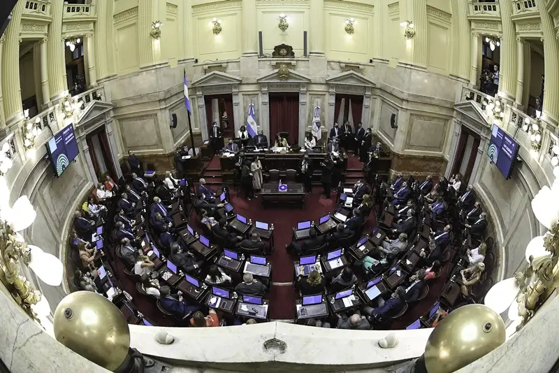 Senado: la suspensión de las PASO obtuvo dictamen