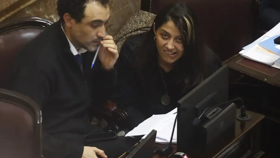 Senado: Los santacruceños votarán el proyecto de Ficha Limpia
