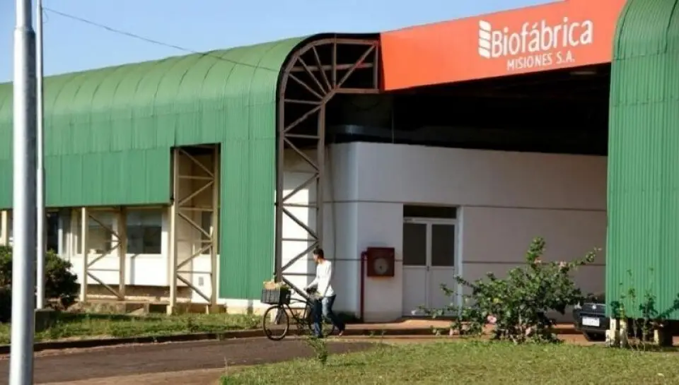 Cuatro meses más tarde, la provincia informó que reasignaron $349 millones a la Biofábrica