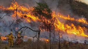 Misiones “aplicará todo el peso de la ley” a los responsables de provocar incendios