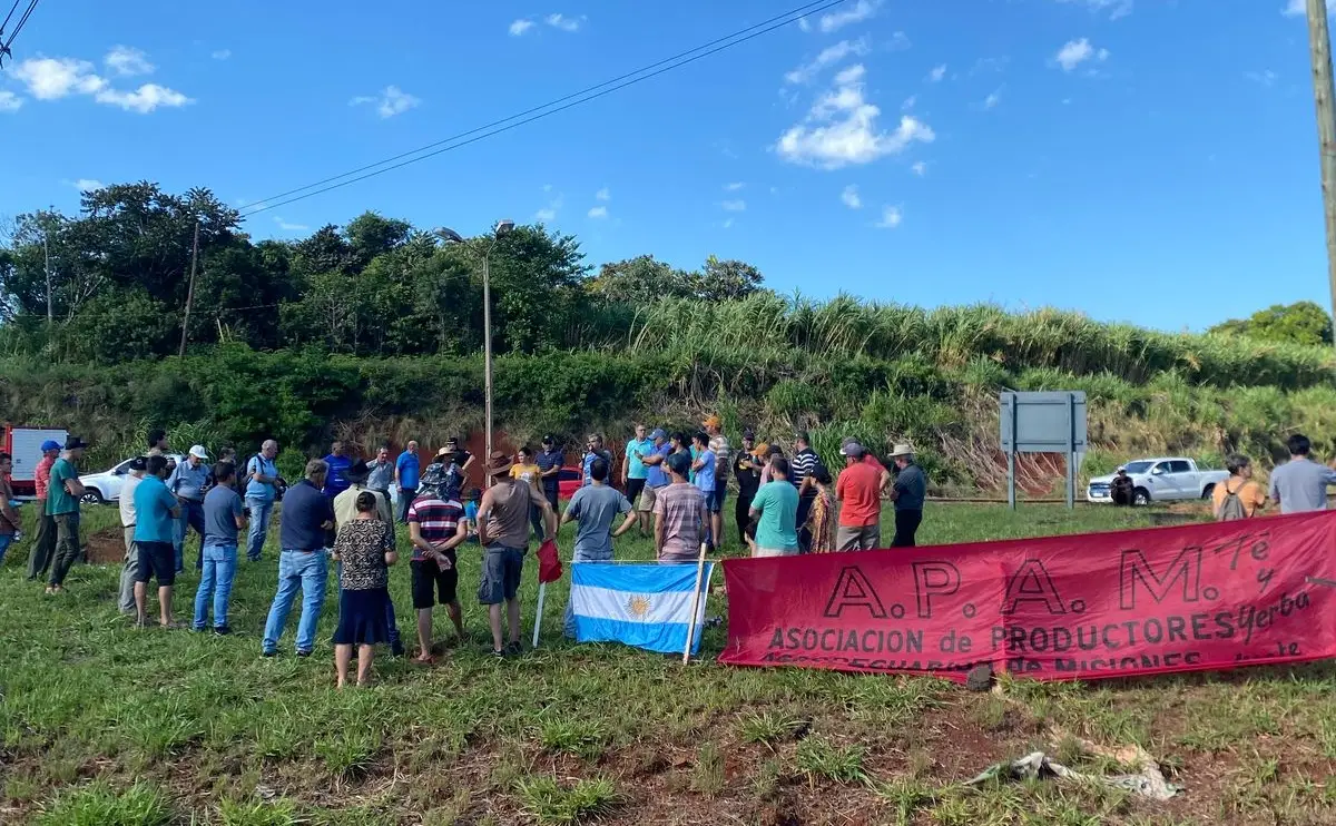 Fuerte planteo de dirigente de MAM a yerbateros: “Que deje de existir” la hoja verde