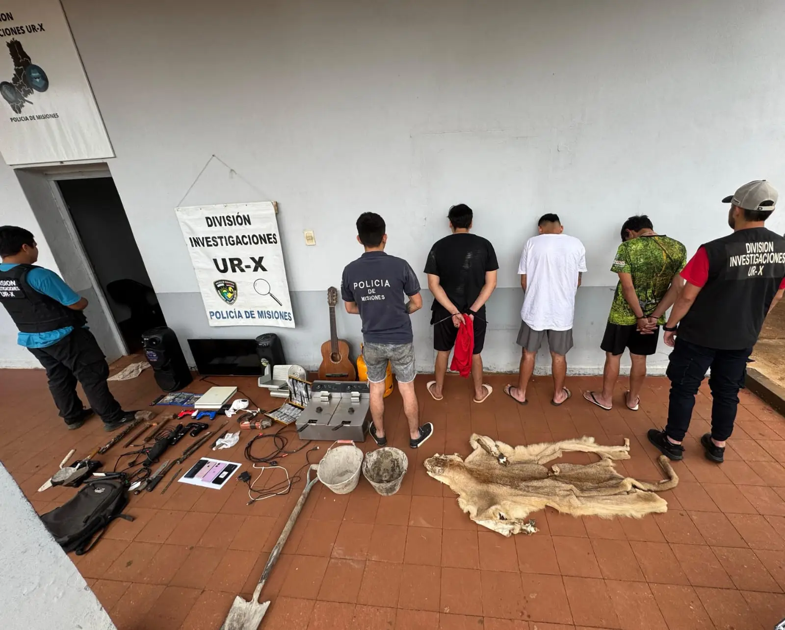 Posadas: el pelaje secuestrado en allanamiento, pertenece a un puma