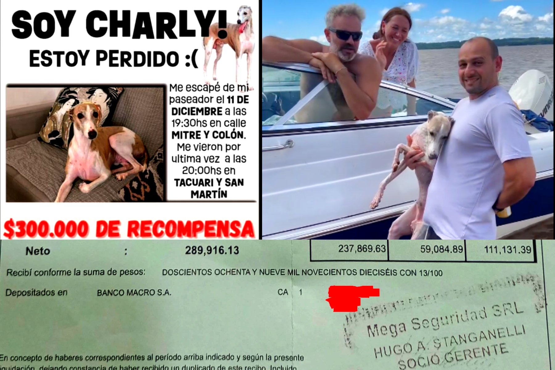 Misiones: empresario vinculado al poder ofreció una recompensa por su perro, que supera el sueldo que paga a sus empleados