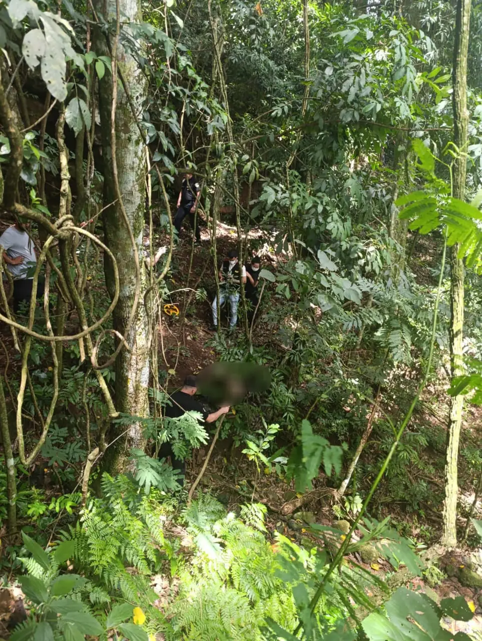 Hallaron un cuerpo sin vida en una zona rural de Irigoyen