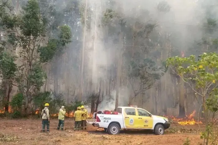 Incendios en Corrientes: "El panorama es desolador"
