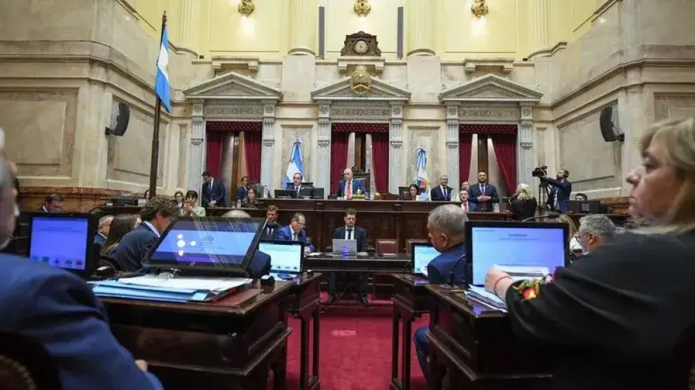 El Senado se propone debatir el proyecto de ficha limpia
