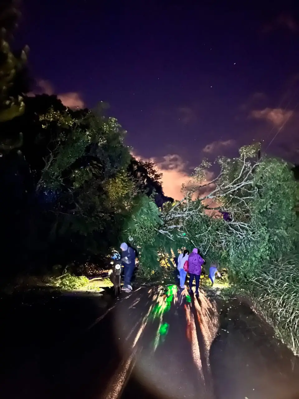 Hubo emergencias por caída de árboles, daños en viviendas y accidentes viales