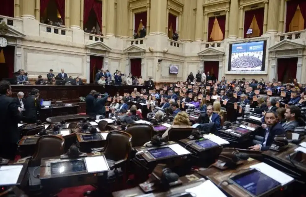 Oficializaron sesión por la emergencia en discapacidad y temas previsionales