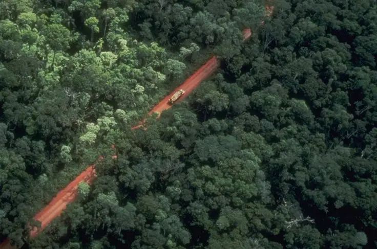 La provincia afectó $671 millones al Fondo Provincial de Bosques Nativos