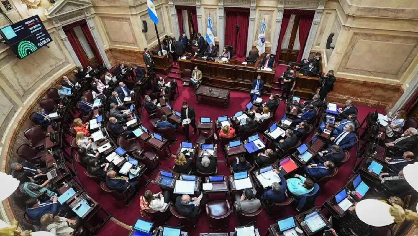 El Senado debate el bono para jubilados, moratoria y emergencia en Discapacidad