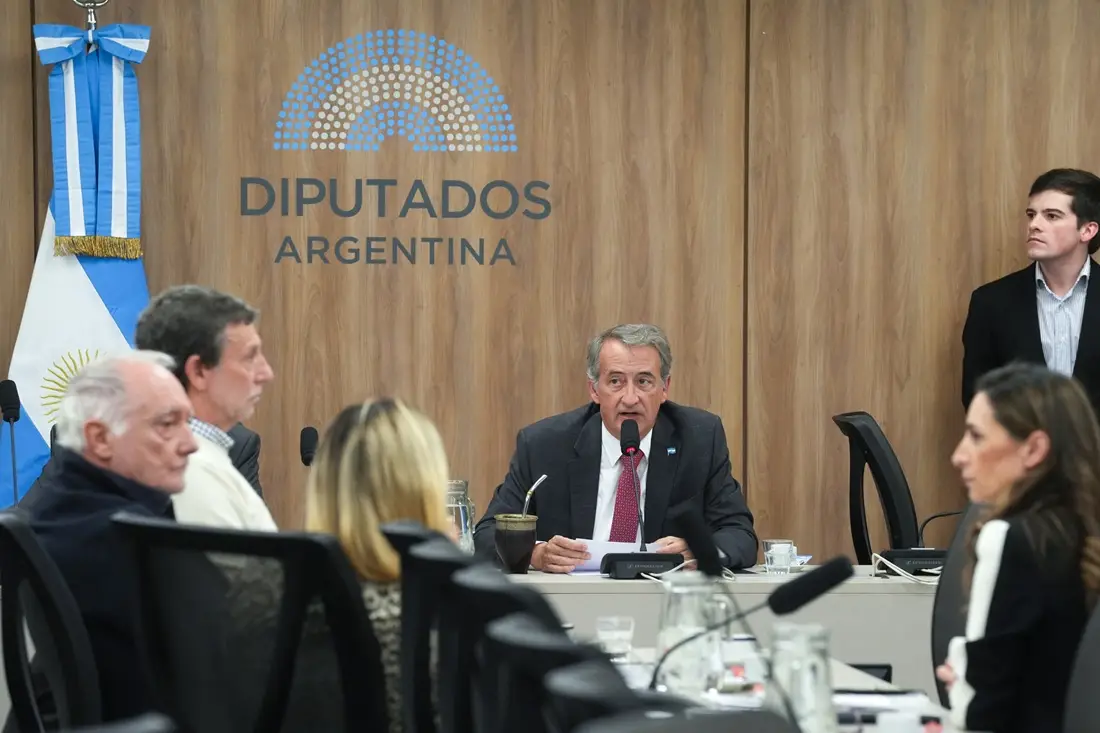 No obtuvo dictámen un proyecto de Menem para la ADN