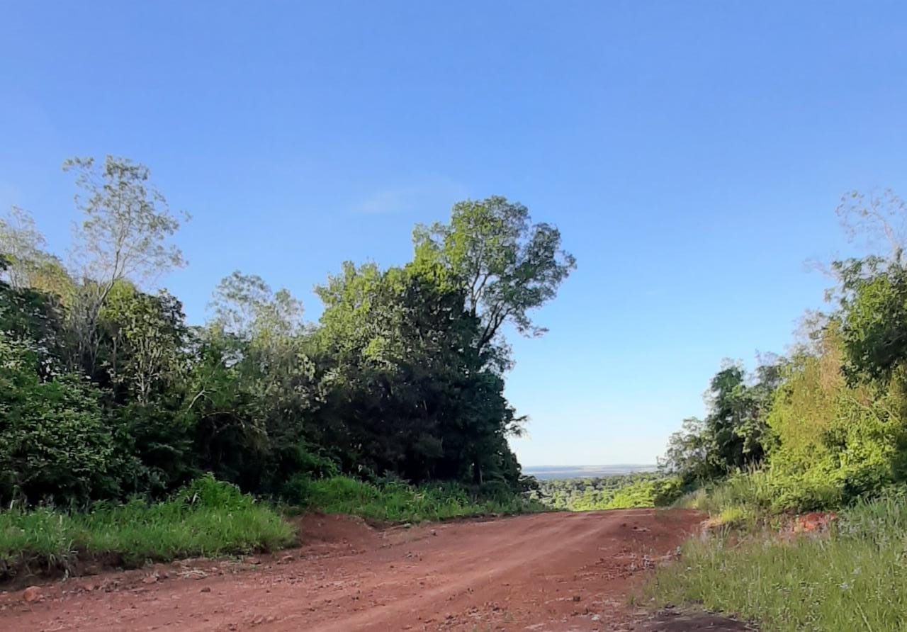 Clima: suben las temperaturas en una jornada a pleno sol