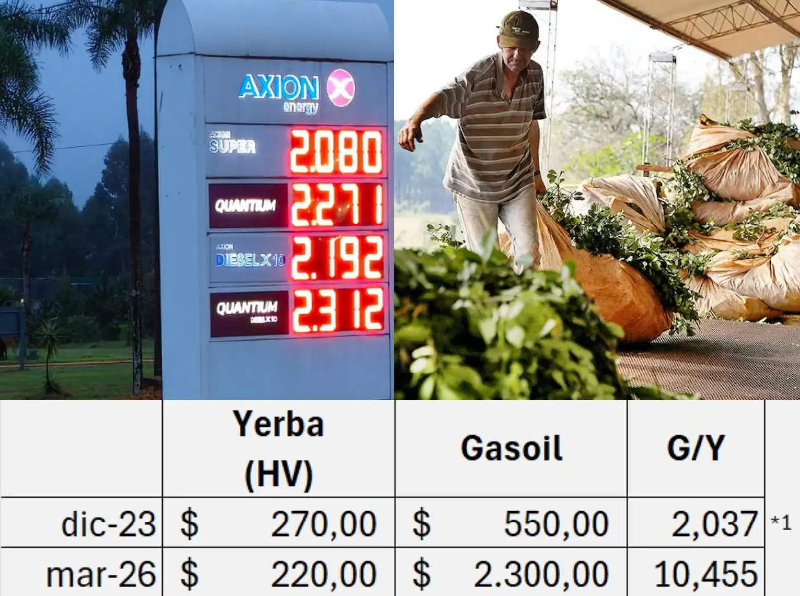 Yerba: El precio de la hoja verde se redujo 5 veces con relación al gasoil