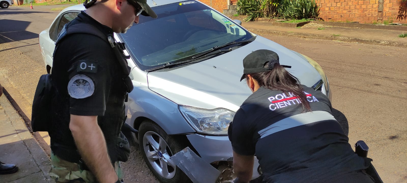 Ubicaron al presunto conductor que mató a un puma en Iguazú
