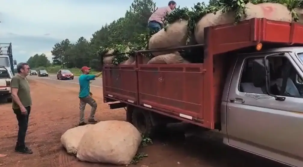 Paro de cosecha: Los yerbateros levantaron el corte de ruta 14