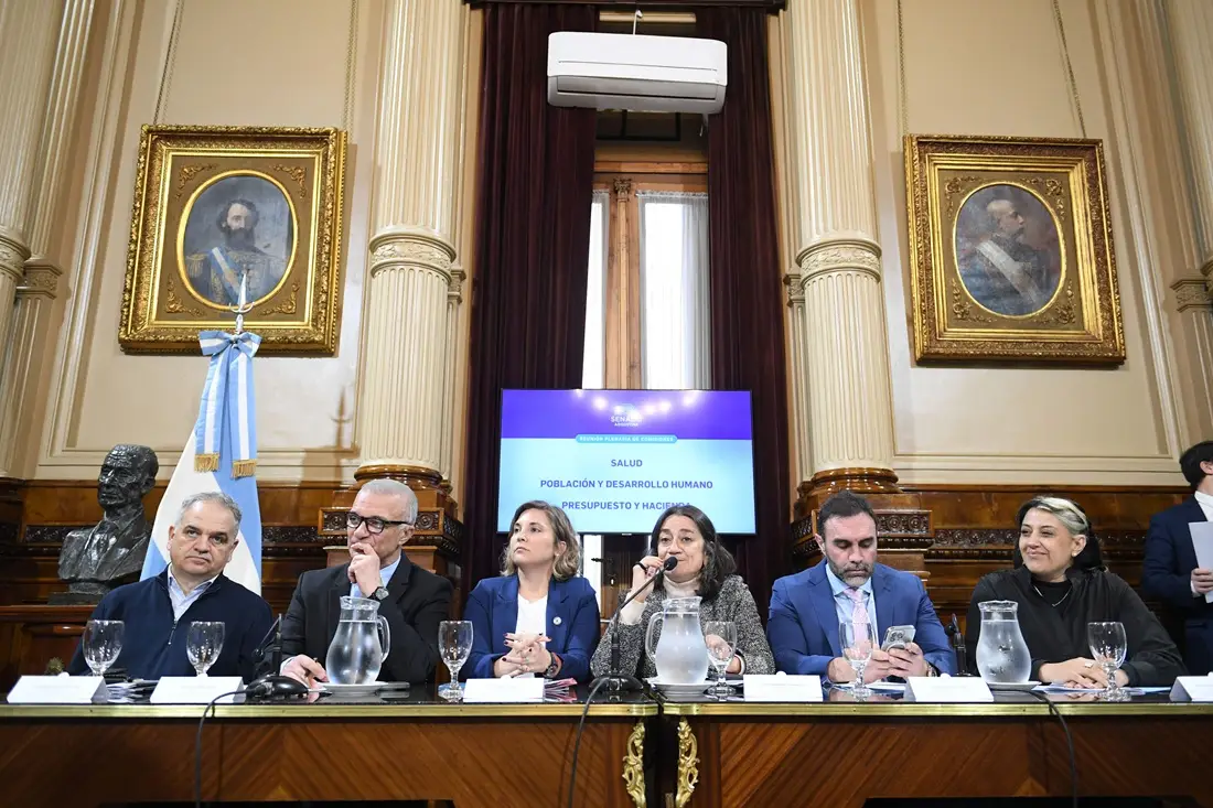 Senado: con dos dictámenes, avanzó la emergencia sanitaria en el Garrahan
