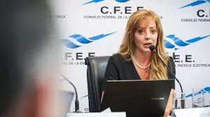 Royón no apoya la eliminación de las PASO