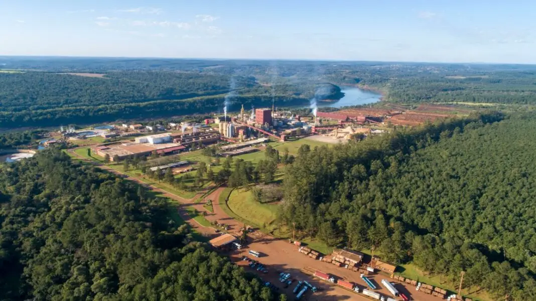 Cinco departamentos superan el tope del 15% a la extranjerización de tierras